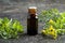 A dark bottle of essential oil with blooming common rue plant