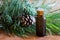 A dark bottle of pine essential oil with pine twigs