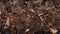 Dark Bronze And Black Wood Mulch Texture Background For Design