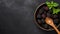 Dark Bronze And Orange Wooden Bowl With Blackberries And Spoon