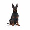 Dark And Brooding Doberman Dog Cartoon Illustration On White Background