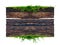 Dark brown antique plank frame background with tropical leaves and climbing vines on the edge of the plank