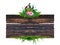 Dark brown antique plank frame background with tropical leaves and vines climbing the edge of the plank and perched on a macaw.