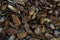 Dark brown bark oak eco background close-up pieces of wood decor mulch natural panel