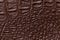 Dark brown leather texture background, closeup. Reptile skin, macro