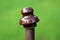 Dark brown old ceramic power line utility insulator left on top of rusted metal fence pole