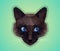 Dark cat with blue eyes - polygonal style.