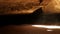 Dark Cave system with underground river in Tunnel Creek National Park in the Kimberley region of Western Australia.