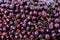 Dark cherries pattern. Fruits background