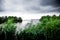 Dark clouds on lake with green canes and trees