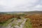 Dark clouds and mist over the Derbyshire landscape