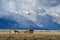 Dark clouds over Mormon Row in Grand Teton