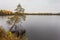 Dark clouds with rain over the lake and lone over the water pine in fall