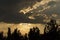 Dark clouds with sun rays and tree beams