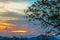 Dark Cloudy Twilight on Sky, Beautiful sundown, Cloud cross on blurry sunset and Flam-boyant, The Flame Tree, Royal Poinciana.