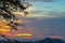 Dark Cloudy Twilight on Sky, Beautiful sundown, Cloud cross on blurry sunset and Flam-boyant, The Flame Tree, Royal Poinciana.