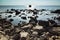 Dark coastal stones and shining sea water