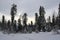 Dark-coniferous cedar-spruce taiga in winter on a mountain pass