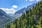 Dark coniferous taiga on mountainside in July