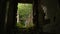 Dark corridor of aged derelict house overgrown with weeds and trees