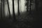 Dark creepy spooky forest with fog