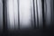 Dark creepy spooky forest on Halloween with fog