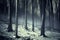 Dark creepy surreal forest with fog and snow