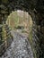 Dark damp tunnel on Falkland estate
