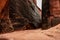 Dark Desert Varnish Covers The Walls of Buckskin Gulch