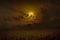 Dark dramatic mystical image with glowing full moon rises above field of sunflowers