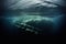 dark, dramatic underwater view of iceberg edge