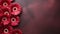 Dark And Elegant Gerbera Daisy Red Petals On Smokey Background