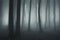 Dark ethereal forest with fog at night