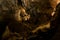 Dark and fantastic cave with stalagtite and stalagmite