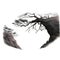 Dark Fantasy Illustration Of Twisted Trees And Cliff