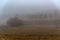 Dark foggy autumn countriside view in morning