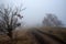 Dark foggy autumn countriside view with road in morning