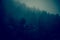 Dark Foggy Forest Hills