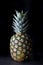 Dark Food - single pineapple fruit on dark background