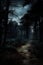 the dark forest with dirt and grass at night photograph print on canvas