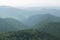 Dark forest in haze landscape