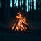 Dark Forest Night Bonfire Illuminating with Orange Flames