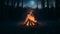 Dark Forest Night Bonfire Illuminating with Orange Flames