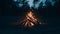 Dark Forest Night Bonfire Illuminating with Orange Flames