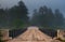 Dark forest over Corry Lake Bridge, chalk river.