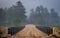 Dark forest over Corry Lake Bridge, chalk river.