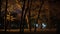 Dark forest with silhouetted trees illuminated by lantern at public park at night. Ppeople at background