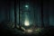 Dark forest vista, nighttime trail in eerie, enchanting forest, digital artwork