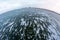 Dark frozen water of the gulf in fisheye vision