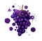 Dark grape with paint blots